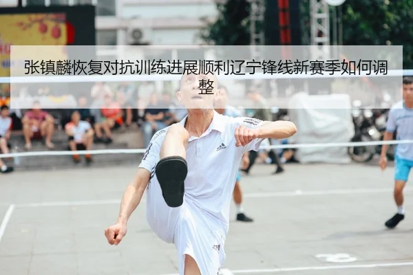 张镇麟恢复对抗训练进展顺利辽宁锋线新赛季如何调整 - MKSPORTS